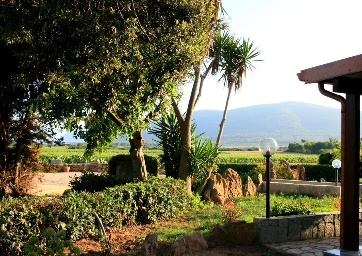 Agriturismo Da Pina 康特港 外观 照片