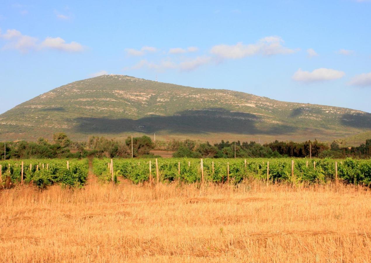 Agriturismo Da Pina 康特港 外观 照片