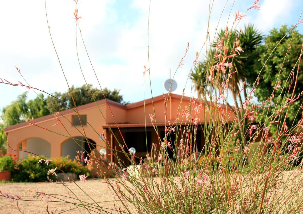 Agriturismo Da Pina 康特港 外观 照片