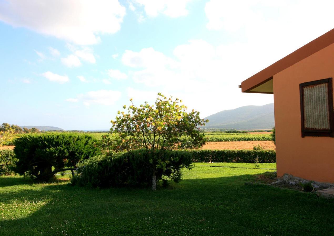 Agriturismo Da Pina 康特港 外观 照片
